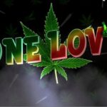 One Love Smoke Shop